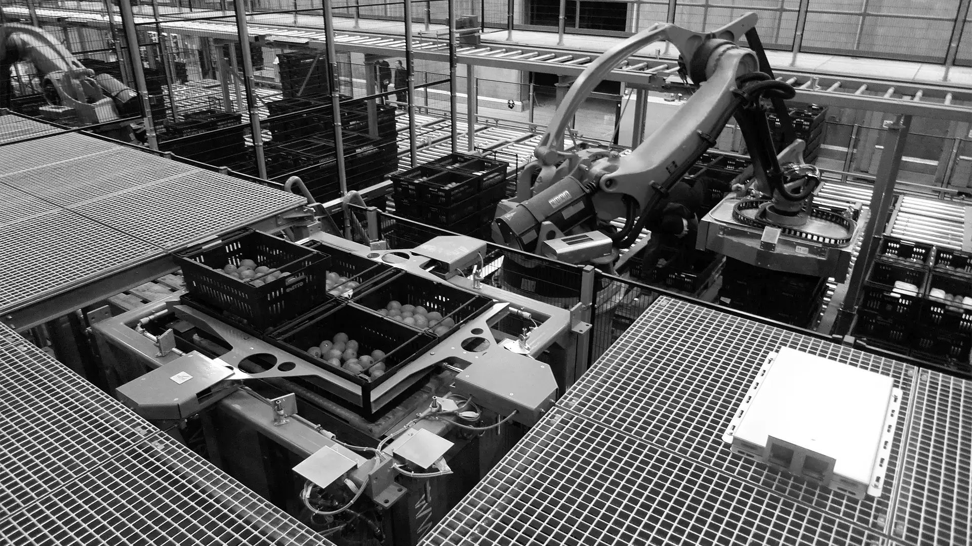 Langebæk-cases-Netto-production-1920x1080