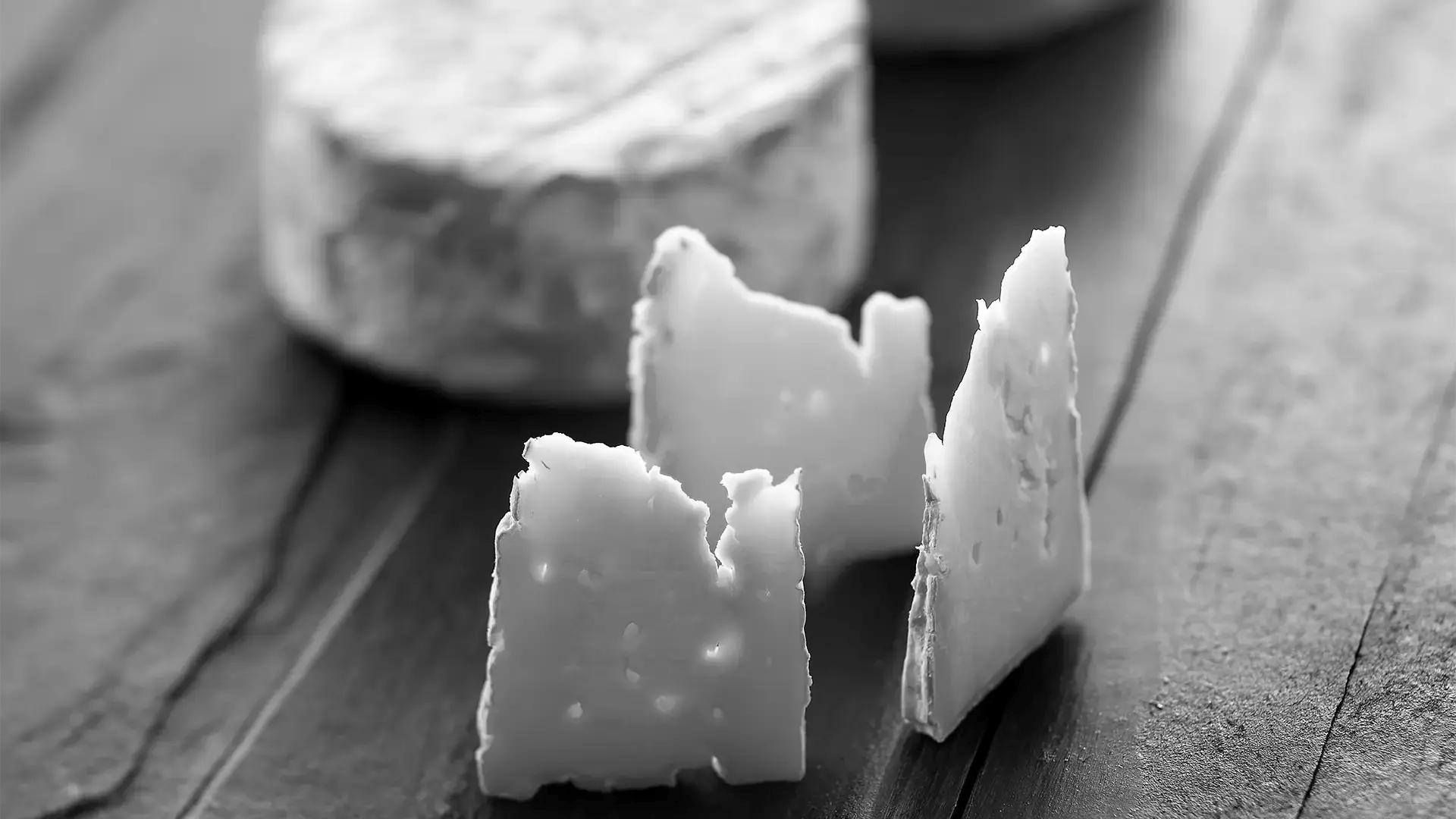 Langebaek-Arla-Unica-web